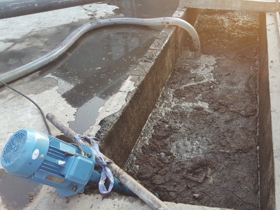 雞糞幹濕分離機價格 雞糞幹濕分離機價格